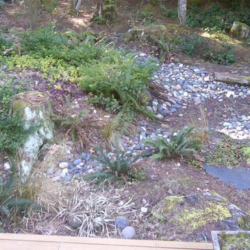 RAIN GARDENS & OUR RAIN GARDEN ISLAND (SM)