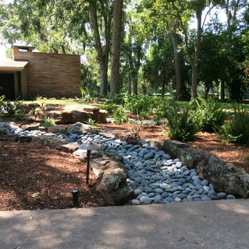 Gulf Coast Mid Century Modern