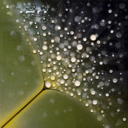 Bubble art - Products