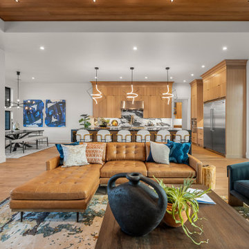 Vivid Best of Show Parade of Homes Winner 2023