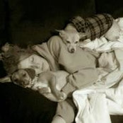 Foto de Heidi Pinnell-Faught