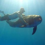 Joel Miller's photo