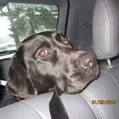 Terry Forrester's photo