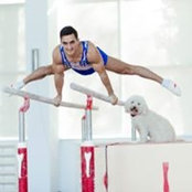 Marian Dragulescu's photo