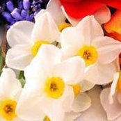 Margaret Piotrowski Annis's photo