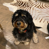 Amy Knight's photo