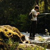 Tony Overstake's photo