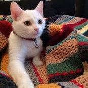Lucie St-Onge's photo