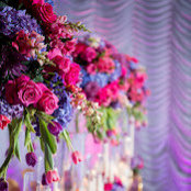 Ashley Jones's photo