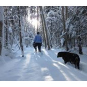 Carol Dersch's photo