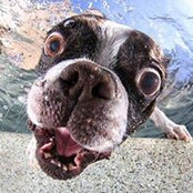 Terrence Schaefer's photo