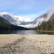 Bobby Pilgrim's photo