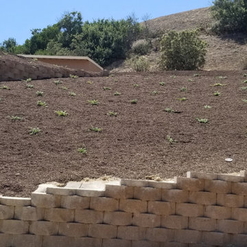 Hillside Retaining Wall & Slope Rebuild – Camarillo, CA