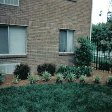 Our Work
