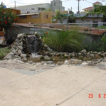 Biological Koi Ponds