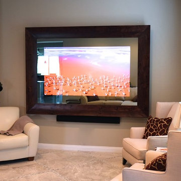 In-Mirror TVS