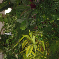 Edmonton Living Wall (Biofilter) - Products