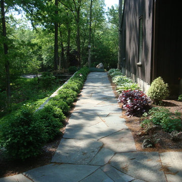 Shady Entryway