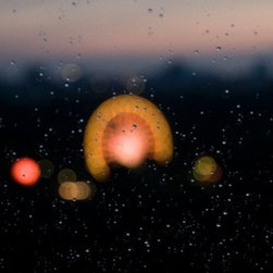 Berlin by Cory Gans - Products