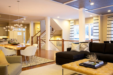 Living room - contemporary living room idea in DC Metro