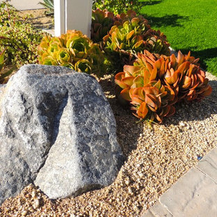 Mittelgroßer Eklektischer Vorgarten im Herbst mit direkter Sonneneinstrahlung und Mulch in San Diego