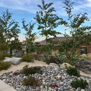South Reno Curb Appeal