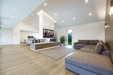 Photo of a modern family room in Venice.