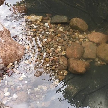 Teichbau