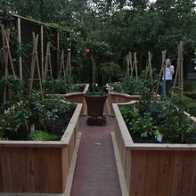 vegetable garden