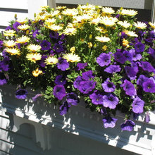 Gdn Containers