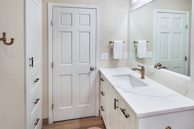 Bathroom - transitional bathroom idea in Minneapolis