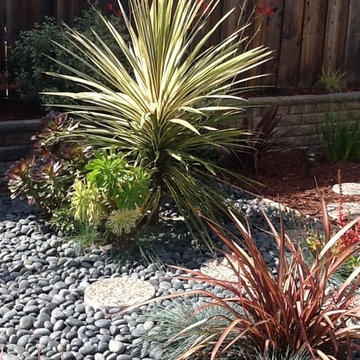 Succulents inspired by Asian Design