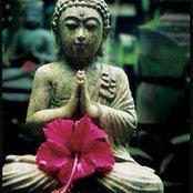 Jeya S's photo