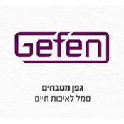 גפן מטבחיםs foto