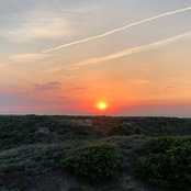 Dieter Weisser's photo