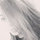 Ashley Plassmann
