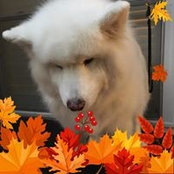 Deb Thompson's photo