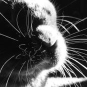 Bianca Marie's photo