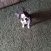 JoAnn Northey's photo