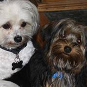 Jeanette Miller's photo