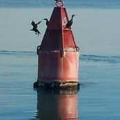 Ellie Kinley's photo