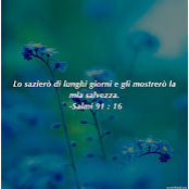 Selihom Medhanies billede