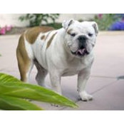Maggie Wong's photo
