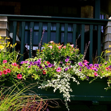 Flourishing Container Gardens!