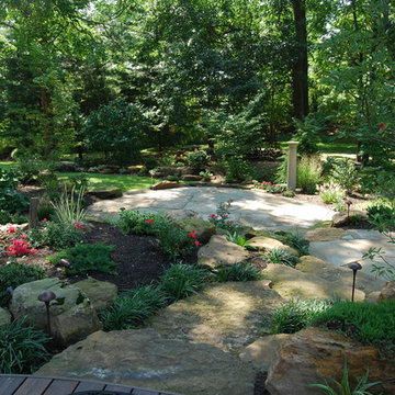 Natural Backyard