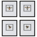 Uttermost - Uttermost Anthophila Framed Prints, Set of 4 - Inspired By Antique Scientific Bee Studies, This Artwork Exhibits Four Unique Species In Shades Of Black, Yellow, And Orange. Each Print Is Accented By Classic White Matting With A Slim Black Fillet And Matching Frame, All Under Glass. Uttermost's Art Combines Premium Quality Materials With Unique High-style Design. With The Advanced Product Engineering And Packaging Reinforcement, Uttermost Maintains Some Of The Lowest Damage Rates In The Industry. Each Product Is Designed, Manufactured And Packaged With Shipping In Mind.