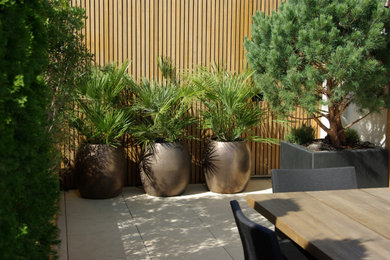 Terrasse design
