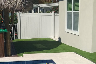 Design ideas for a small modern backyard full sun garden for summer in Miami.