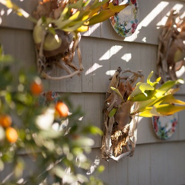 Transitional small garden