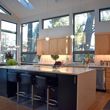 Mid-Century Modern Kitchen, Dining Room, Bar